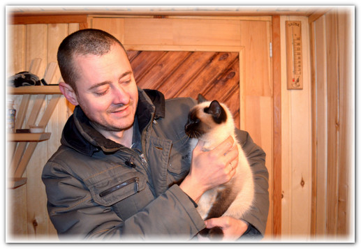 Уличная кошка 