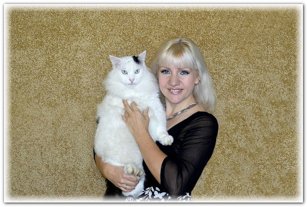 кот Дозик