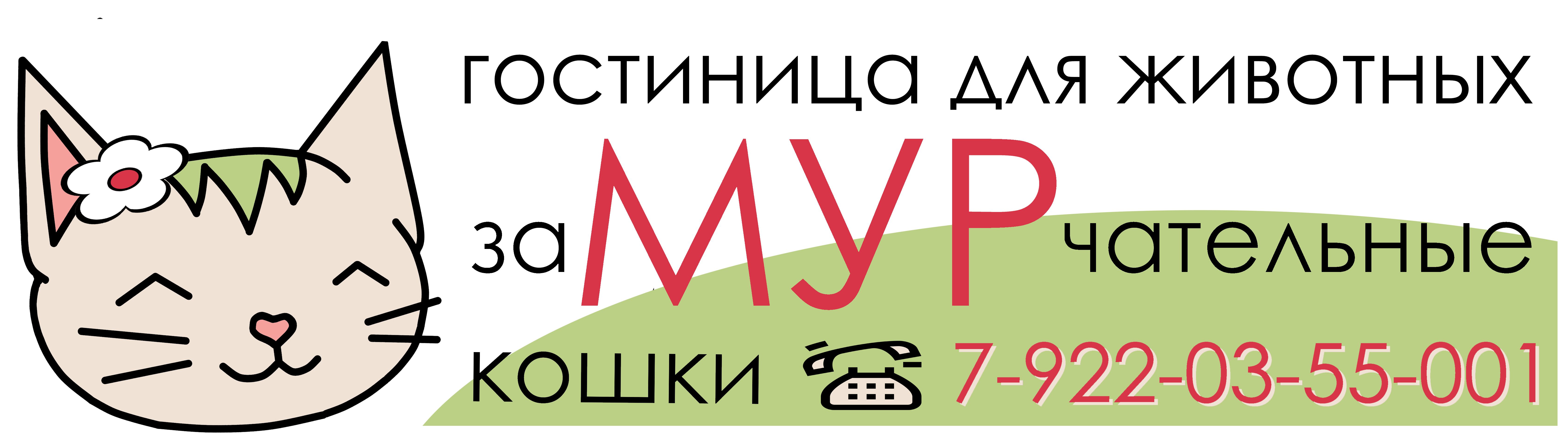 Вернуться на главную